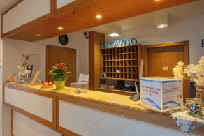 Hotel garni Zwickau-Mosel - Reception