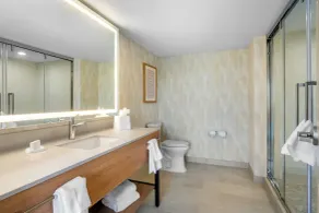 Hampton Inn by Hilton Addison Dallas - Badrum