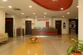 Ginger Vapi - Reception