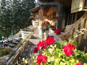 Hotel Ribno - View from room