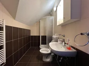 Hotel Babic - Bagno