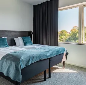 First Hotel Kokoloko - Room