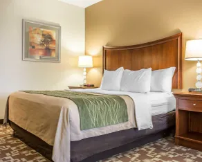 Comfort Inn & Suites Orangeburg - Chambre