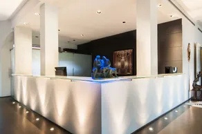 Hotel Michelangelo & Day SPA - Réception