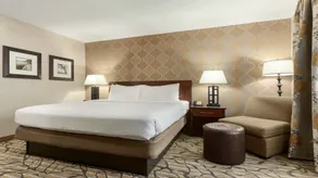 Holiday Inn Hotel & Suites Gateway by IHG - Chambre