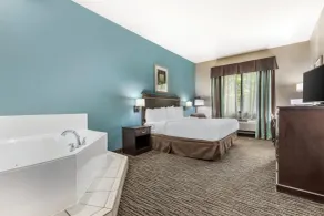 Best Western Mineola Inn - Værelse