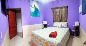 Windmill Hostel - Room