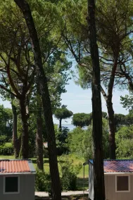 Belvedere Pineta Camping Village Grado - Utsikt från rummet