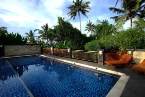 Sari Villa Ubud - Pool