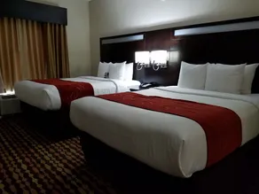 Comfort Suites Northside Hospital Gwinnett - Vue de la chambre