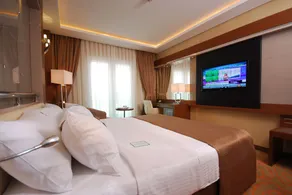 Holiday Inn Ankara-Kavaklidere by IHG - Chambre