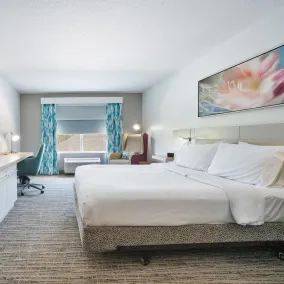 Hilton Garden Inn Jacksonville Airport - Chambre