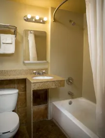 Viking Motel-Detroit - Salle de bain