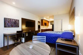 Palace Inn Blue Hwy 6 & Westpark - Room