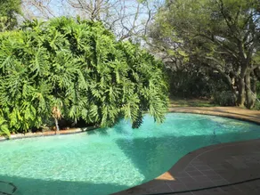 Monchique Boutique Guest House - Pool