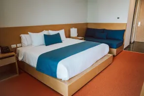 Gran Hotel Concordia Irapuato - Room