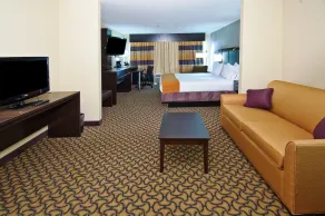 Holiday Inn Express & Suites Jackson / Pearl Intl Airport by IHG - Chambre