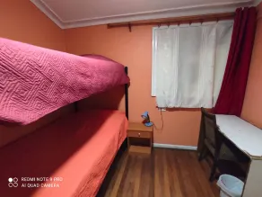 Hotel Gatos de campo tiernos y traviesos - Rom