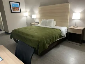 Quality Inn Airport East - Chambre