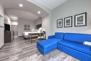La Quinta by Wyndham Tyler - University Area - Chambre
