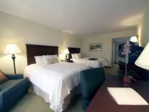 Hampton Inn and Suites Dobson - Rom