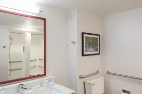 Hampton Inn Cincinnati Airport South - Salle de bain