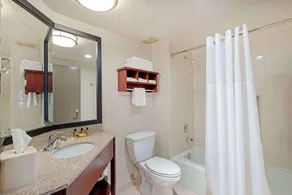 Best Western Plus Chicagoland - Countryside - Salle de bain