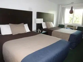 Cougar Land Motel - Vue de la chambre