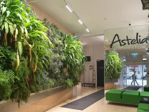 Astelia Apartment Hotel - Réception