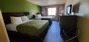 Quality Inn & Suites Delaware South - Habitación