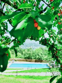 Agriturismo Borgo Biaia - Pool