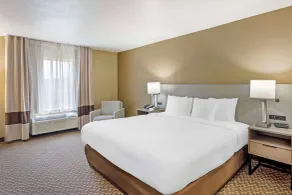 Comfort Inn & Suites Carneys Point - Pennsville - Chambre