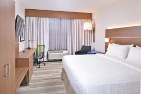 Holiday Inn Express & Suites Indianapolis Dtn-Conv Ctr Area by IHG - Habitación