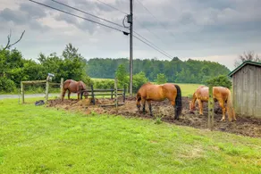 Stunning Mtn Views: Middlebury Center Retreat! - Interiør