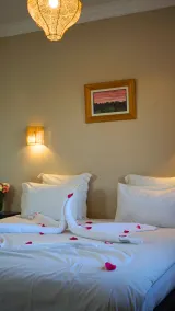 Amani Hotel Suites & Spa - Værelse