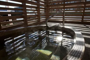 Cousin's Country Inn - Piscine