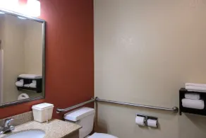 Quality Inn & Suites Benton Harbor - St Joseph - Salle de bain