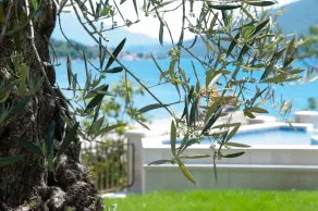Boutique Hotel Kredo - Pool