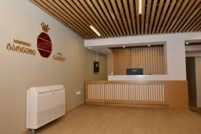 Hotel Garnet Tbilisi - Rezeption