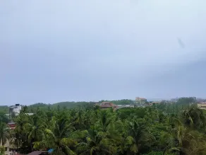 Ginger Goa Candolim - Utsikt från rummet