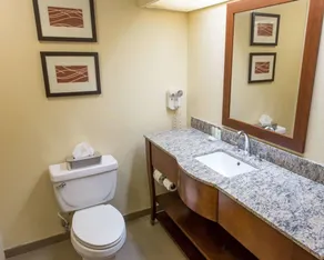 Comfort Inn Hammond - Chambre