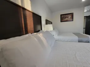 The Suite Inn Minot - Zimmer