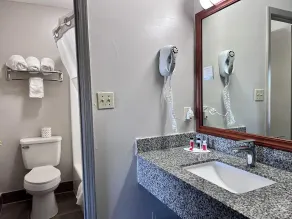Days Inn by Wyndham Greenville - Badezimmer