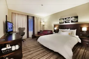 Hilton Garden Inn Sanliurfa - Room