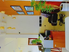 Yashasvi Himalayan Resort - Réception
