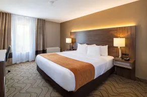 Comfort Inn Lakeshore - Chambre