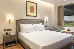 Clarks Inn Kharar-Mohali - Room