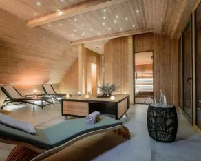 Vila Planinka Boutique Hotel - Wellness