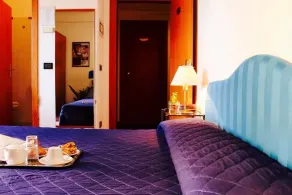 Hotel Roof - Room