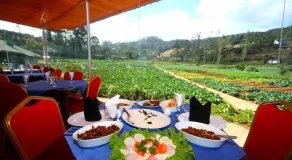 ASHFORD HOTEL - Restaurant